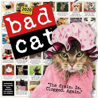 2020 Bad Cat Wall Calendar