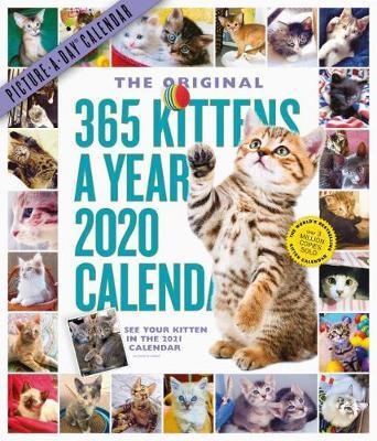 365 Kittens-A-Year Picture-A-Day Wall Calendar 2020