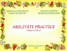 Abilitati practice, auxiliar, clasa a III-a