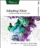 Adopting Elixir