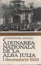 Adunarea nationala de la Alba Iulia 1 decembrie 1918