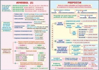 Adverbul (2) /Prepozitia (duo)