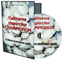 Afaceri la Cheie pe CD - Cultivarea ciupercilor Champignon