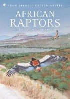 African Raptors