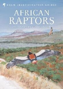 African Raptors