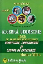 Algebra Geometrie 1050 probleme semnificative