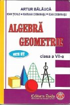 Algebra Geometrie Auxiliar pentru clasa