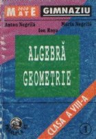 Algebra Geometrie Clasa VIII