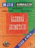 Algebra Geometrie Clasa VII Partea