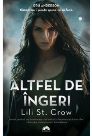 Altfel de Ingeri (Altfel de Ingeri, vol. 1)