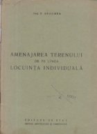 Amenajarea terenului de pe linga locuinta individuala