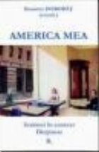 America mea Scriitori context Dictionar