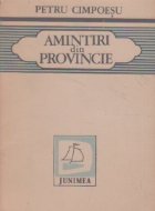 Amintiri din provincie