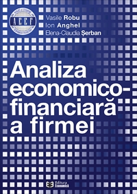 Analiza economico-financiara a firmei