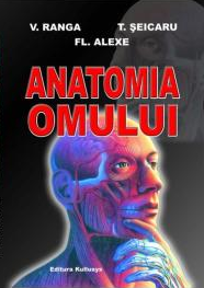 Anatomia omului