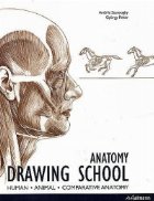 ANATOMY DRAWING SCHOOL* HUMAN* ANIMAL*