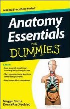 Anatomy Essentials for Dummies