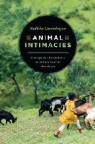 Animal Intimacies