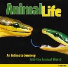 ANIMAL LIFE