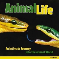 ANIMAL LIFE