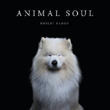 Animal Soul