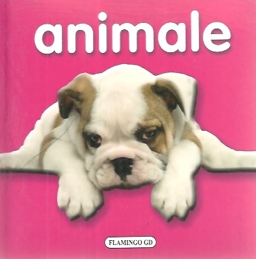 Animale