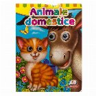 Animale domestice Ochisori