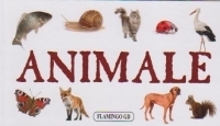 Animale - pliant cartonat