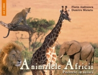 Animalele Africii - Portrete in natura