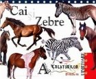 Antologia creaturilor uimitoare. Cai si Zebre