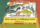 Arte vizuale abilitati practice clasa