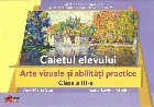 Arte vizuale abilitati practice clasa