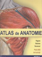 Atlas de anatomie. Organe, sisteme, structuri (peste 600 de ilustratii)