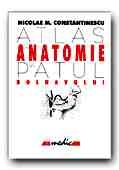 ATLAS DE ANATOMIE LA PATUL BOLNAVULUI