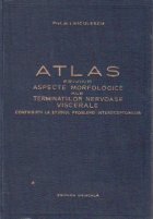 Atlas privind aspecte morfologice ale terminatiilor nervoase viscerale. Contributii la studiul problemei inter