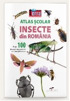 Atlas scolar. Insecte din Romania. Peste 100 de specii reprezentative din fauna tarii noastre