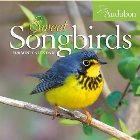 Audubon Sweet Songbirds Mini Wall