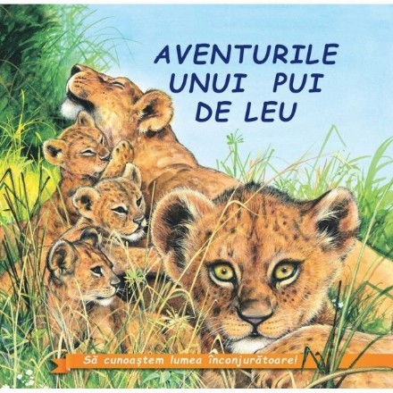 Aventurile uniu pui  de Leu﻿