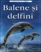 Balene delfini