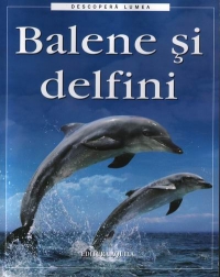 Balene si delfini