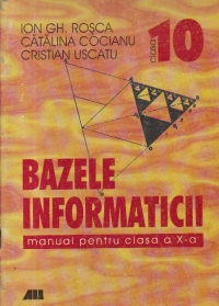 Bazele Informaticii, Manual pentru clasa a X-a