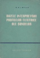 Bazele interpretarii profilelor electrice ale