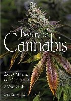 Beauty Of Cannabis