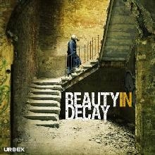 Beauty in Decay: The Art of Urban Exploration