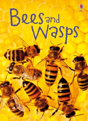 Bees and wasps