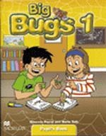 Big Bugs 1 Flashcards