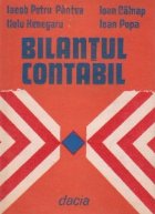 Bilantul contabil