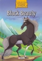 Black Beauty Carte colorat poveste