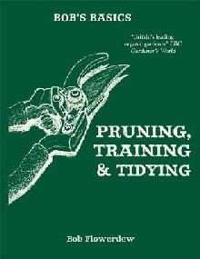 Bob's Basics: Pruning and Tidying