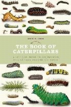 Book Caterpillars